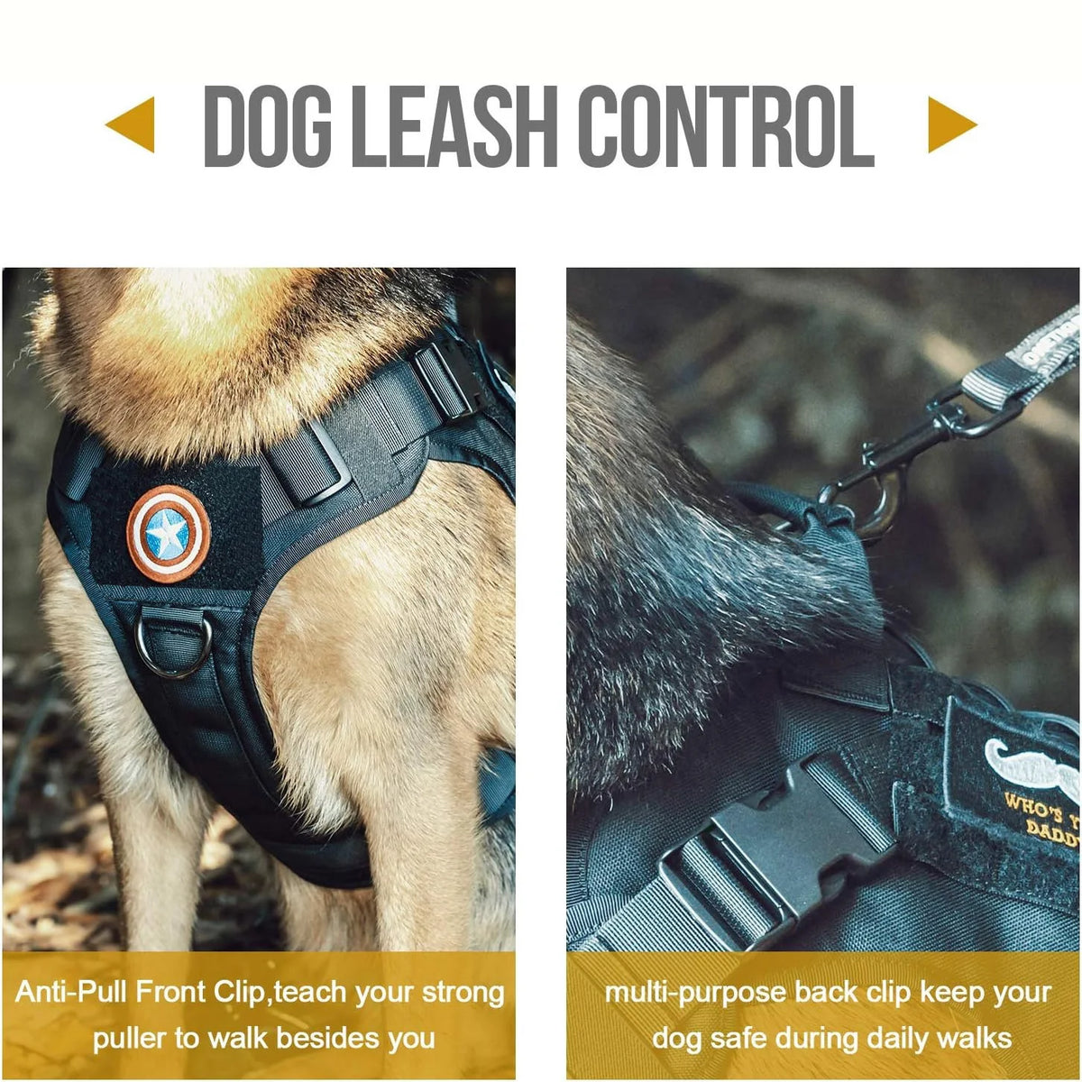 Dog harness with front and back clips on a white background