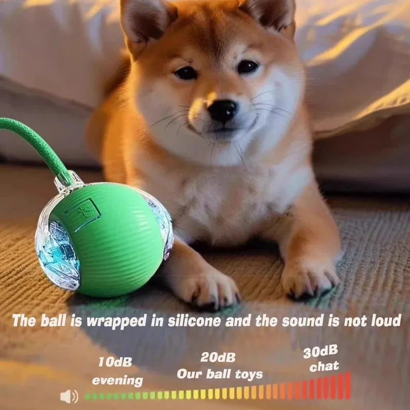Dog lying on a carpet with a green ball toy, featuring text about the ball's sound level.